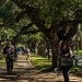 Rice campus
